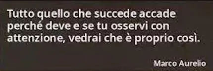 sapeviche_img_succede_big