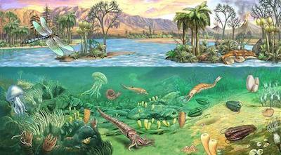 universo4_evolution_paleozoico