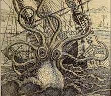 animali5_kraken animali5_kraken